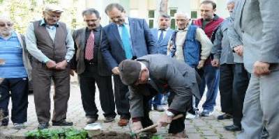 Başkan Şahin, Huzurevinde çiçek dikti