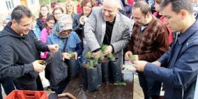 Gazi Devlet Hastanesi Çalışanlarından Fidan Dikim Etkinliği