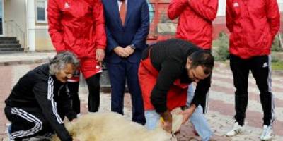 15 HAFTA SONRA GELEN GALİBİYETE 15 KURBAN