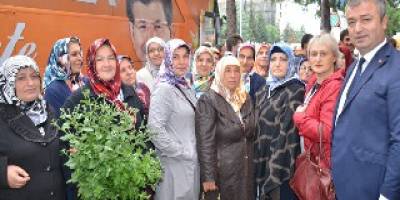Kadınlar yüce bir değerdir