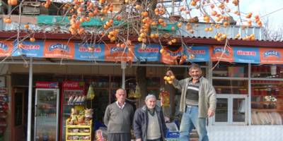 Bafra Trabzon hurmasını sevdi