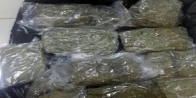 Peynir görünümlü uyuşturucu