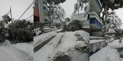 İsmet Paşa Mahallesi`nde tellere ağaç düştü