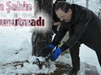 BAŞKAN ŞAHİN, SOKAK HAYVANLARINI UNUTMADI