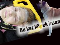Köpeğin çarptığı kadın hastanelik oldu