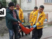 Bafra'da yine bonzai koması