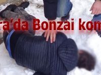 Bafra'da Bonzai koması