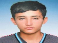 Tavşan avına gitti geri dönmedi