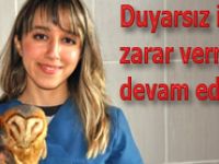Duyarsız insanlar kuşlara zarar veriyor