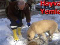 Sokak hayvanları unutulmadı