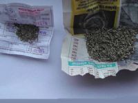 Otobüs biletinde bonzai