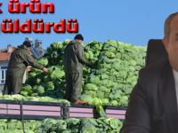 Bafralı üreticinin yüzü güldü