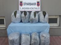 101 kilogram esrar ele geçirildi