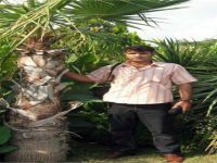 Tavuk çiftliğinde çatıdan düşen adam öldü