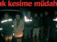 Alaçam'da kaçak Orman Kesenler yakalandı