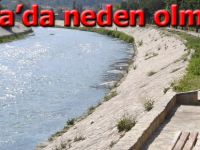 Irmak Seddi Temizlendi!