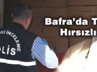 Bafra`da tütün hırsızlığı