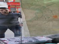 İş yerinin çamlarını kıranlar yakalandı