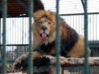 10 YILDA 2.5 MİLYON ZİYARETÇİ