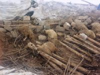 70 hayvan telef oldu