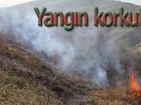 Ormanda çıkan yangın korkuttu