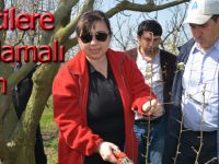 Bafralı meyve üreticilerine uygulamalı eğitim