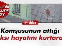 Evden Atılan Saksı Hayatını Kurtardı