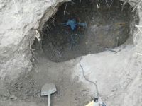 Kaçak kazıya 5 gözaltı