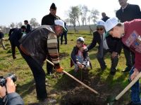 Doğanın Dengesi İçin Fidan Dikmeliyiz