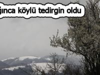 Samsun'da yükseklere yağan kar üreticiyi tedirgin etti