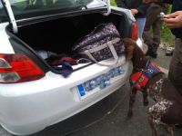 Yol kontrolünde esrar ele geçirildi
