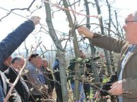 ÜRETİCİLER; TEORİK VE PRATİK EĞİTİM ÇALIŞMASI YAPTI