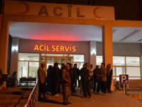 Boş arazide kadın cesedi bulundu