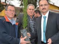 Bafra'da 2000 fidan dağıtıldı