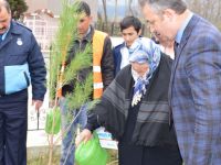 Şehit Annesi ile birlikte ağaç diktiler