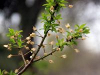 Don Samsun'u kısmi olarak etkiledi