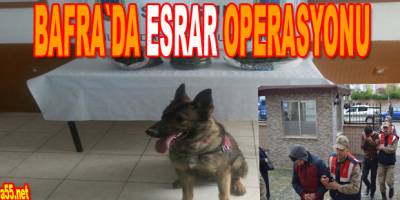 Bafra'da Kanberli köyüne uyuşturucu baskını