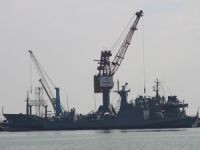 Deniz yıldızı 2016 tatbikatı