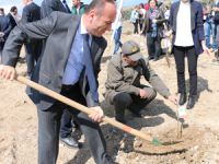 Öğrenciler fidan dikti