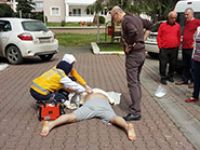 8. Kattan ölüme atladı