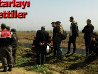 Dedeli Köyü'nde ekili arazileri telef ettiler