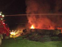 Hayvanları kurtarmak isterken yanarak can verdi