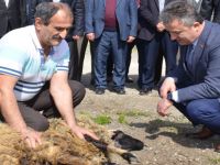 19 Mayıs Emniyeti Adak kesti