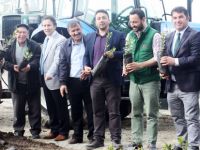Yakakent Defne Ağaçlandırma ve Uygulama Projesi