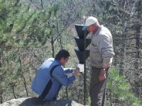 Vezirköprü ormanları tuzaklandı