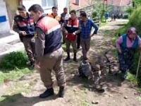 Ayağını tarım aracına kaptırdı