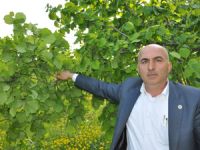 Emanete verilen fındıklar geri istenmeli