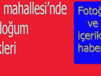 Emenli Mahallesi`nde Kutlu Doğum etkinlikleri