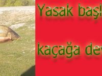 Yasak geldi Kaçak avlanma sezonu başladı!