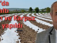 BAFRA’DA ÖRTÜ ALTI KAVUN VE KARPUZ EKİMLERİ YAPILDI